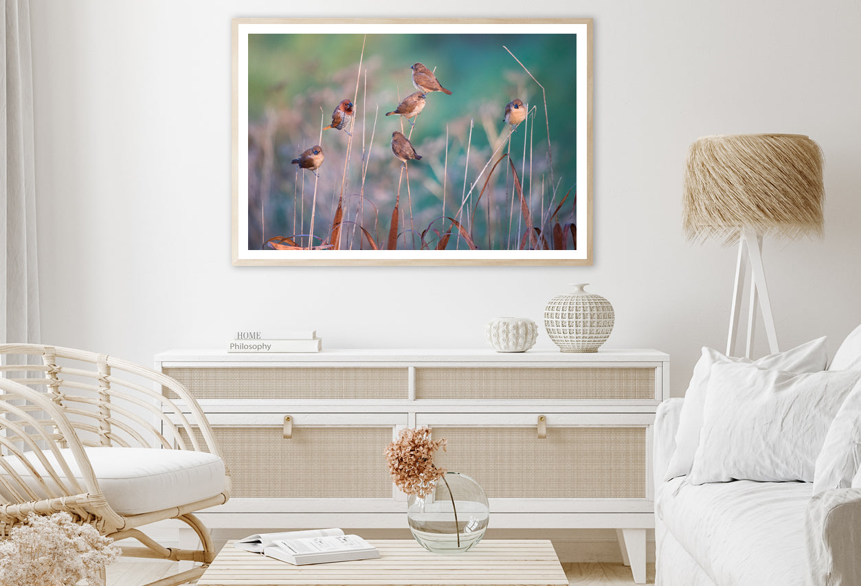 A Group of Birds Perched On a Branch View Home Decor Premium Quality Poster Print Choose Your Sizes - Bella Home Decor