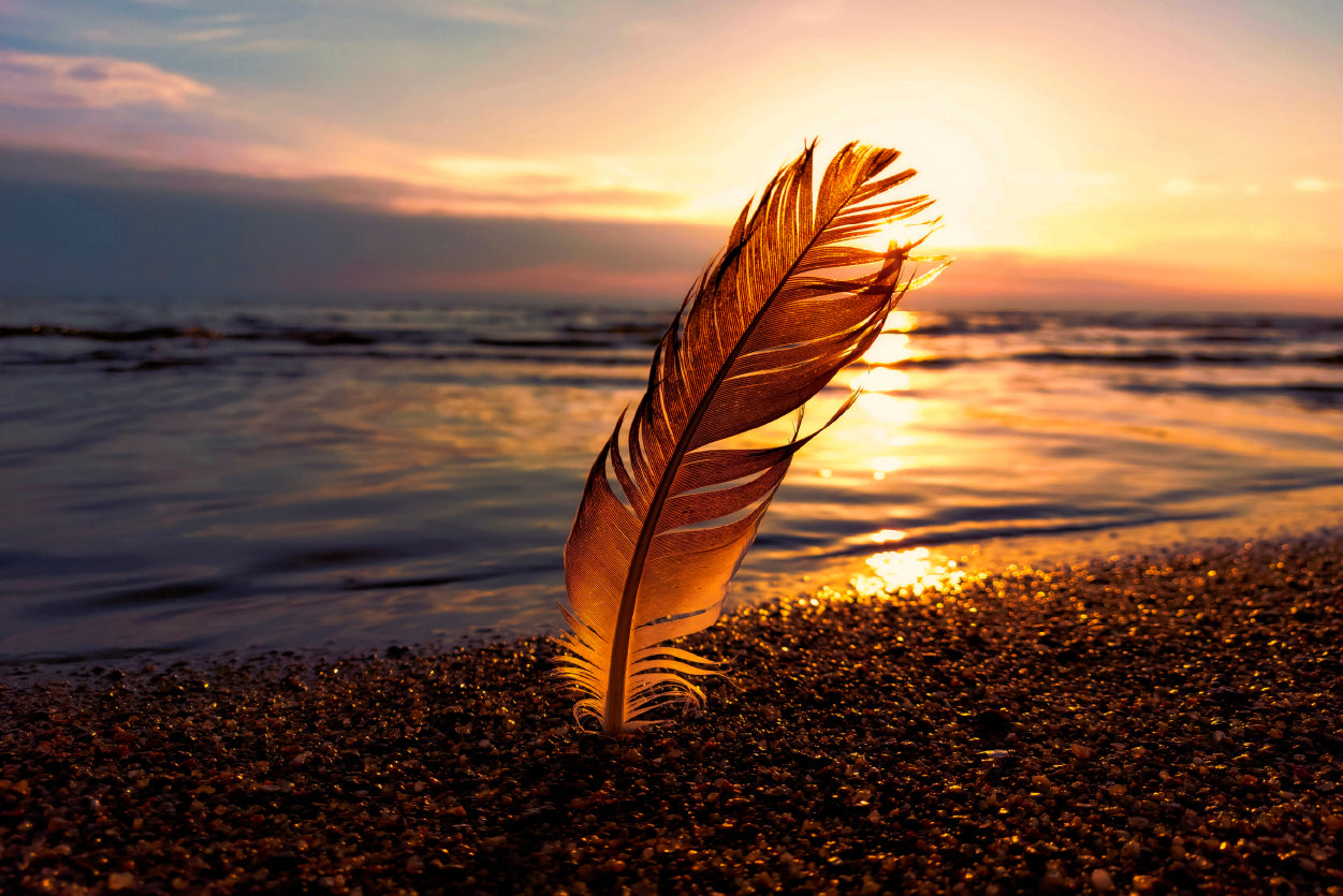 Feather With Sunset in Seashore Home Decor Premium Quality Poster Print Choose Your Sizes - Bella Home Decor