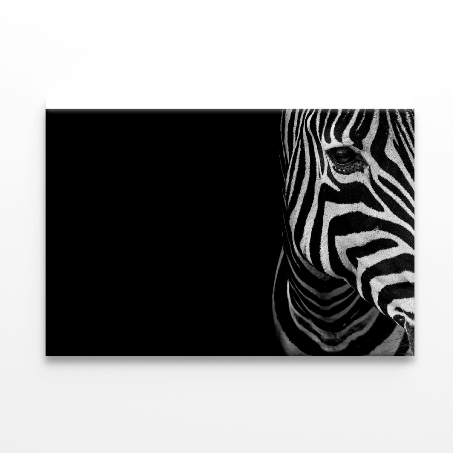 Half Face of Zebra with Black Print 100% Australian Made