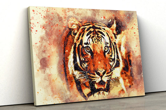 Tiger water colored UV Direct Aluminum Print Australian Made Quality