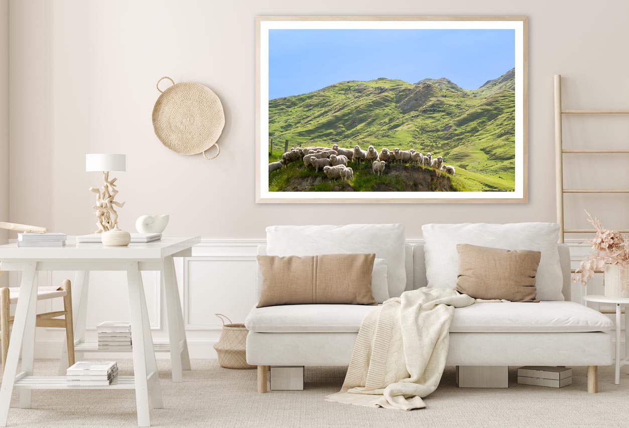 Flock Of Sheep Standing on Knoll With New Zealand Home Decor Premium Quality Poster Print Choose Your Sizes