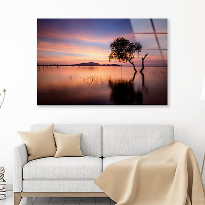 Tree and Lake in the Morning Acrylic Glass Print Tempered Glass Wall Art 100% Made in Australia Ready to Hang