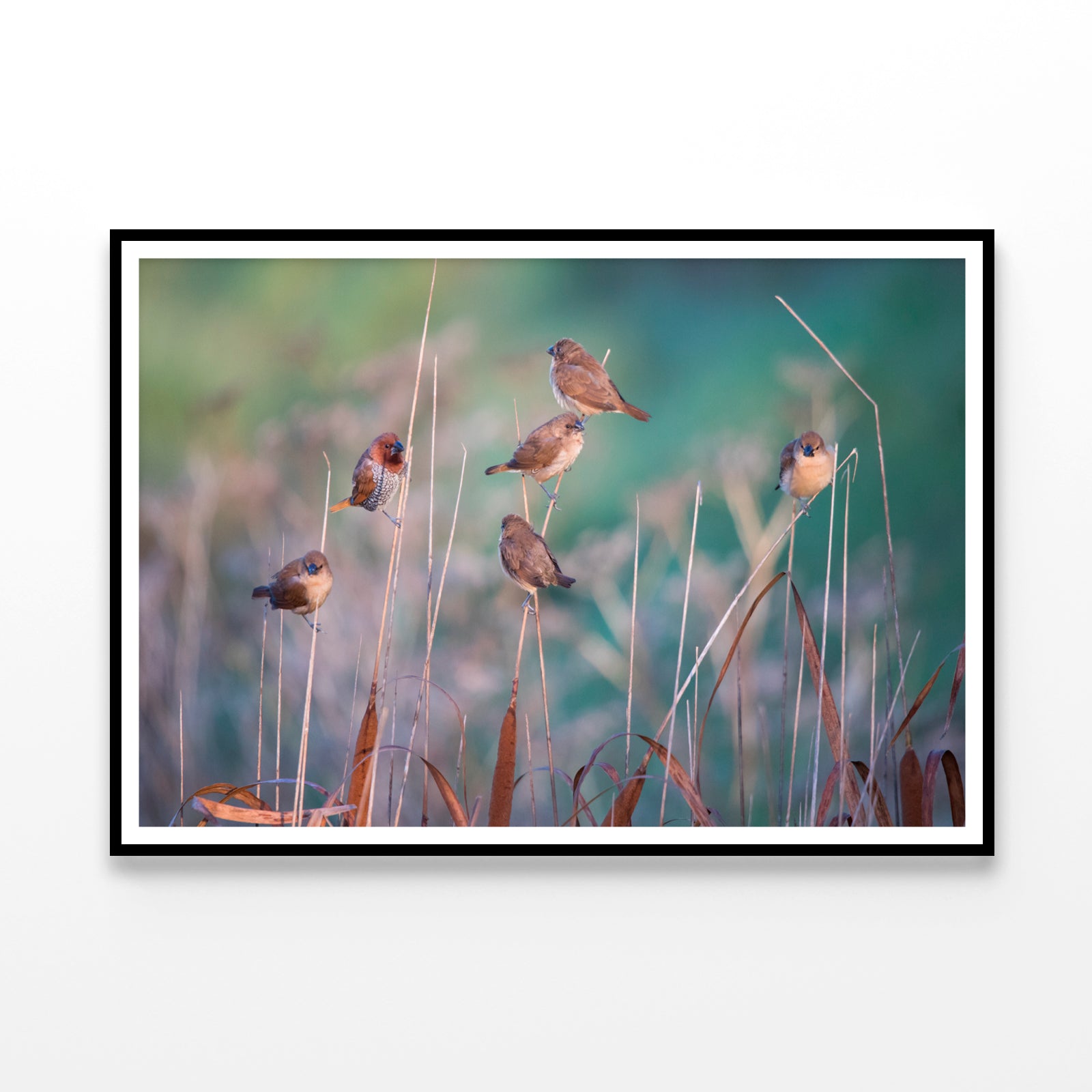 A Group of Birds Perched On a Branch View Home Decor Premium Quality Poster Print Choose Your Sizes - Bella Home Decor