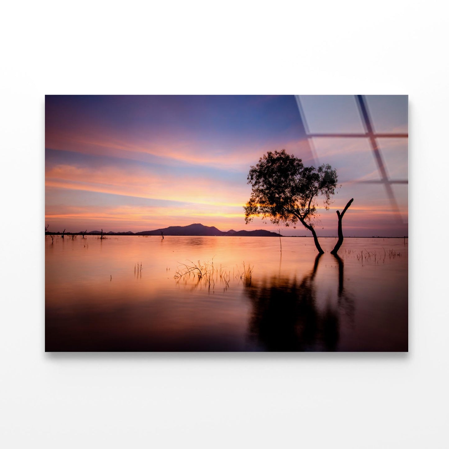 Tree and Lake in the Morning Acrylic Glass Print Tempered Glass Wall Art 100% Made in Australia Ready to Hang