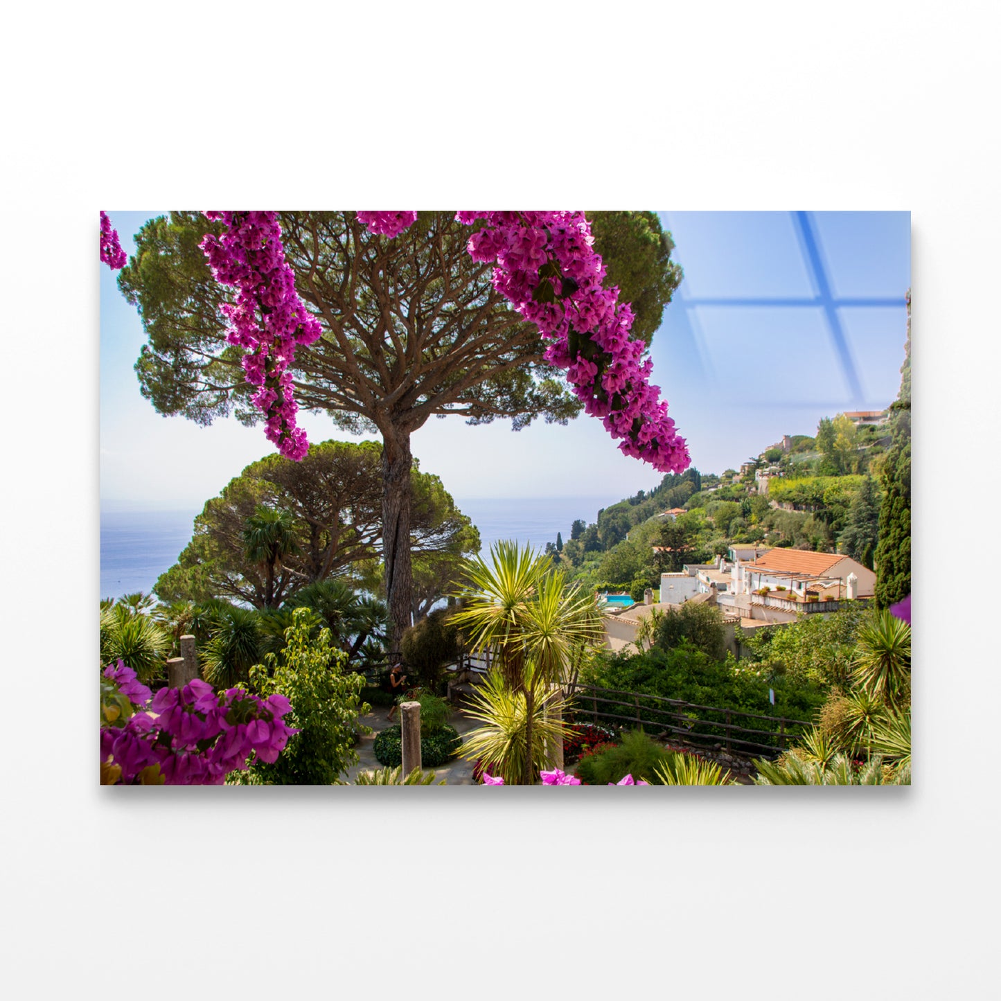 Umbrella Pine Tree and Flowers Acrylic Glass Print Tempered Glass Wall Art 100% Made in Australia Ready to Hang - Bella Home Decor