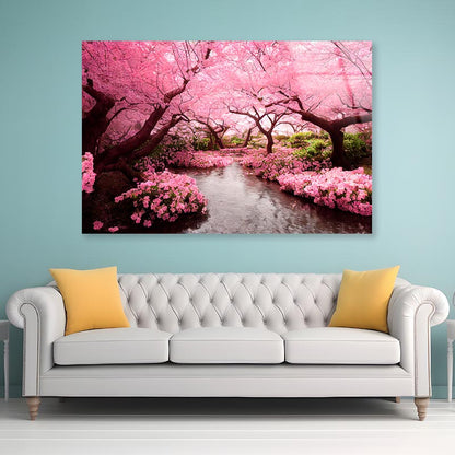 Blooming Pink Cherry Blossom Trees  Acrylic Glass Print Tempered Glass Wall Art 100% Made in Australia Ready to Hang