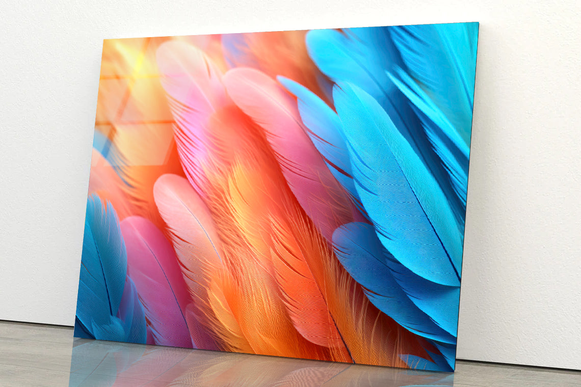 Feathers of a Bird Acrylic Glass Print Tempered Glass Wall Art 100% Made in Australia Ready to Hang - Bella Home Decor