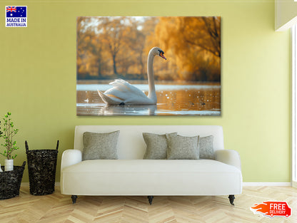 Swans on Autumn Pond View Print 100% Australian Made - Bella Home Decor