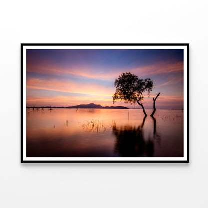 Tree and Lake in the Morning Home Decor Premium Quality Poster Print Choose Your Sizes