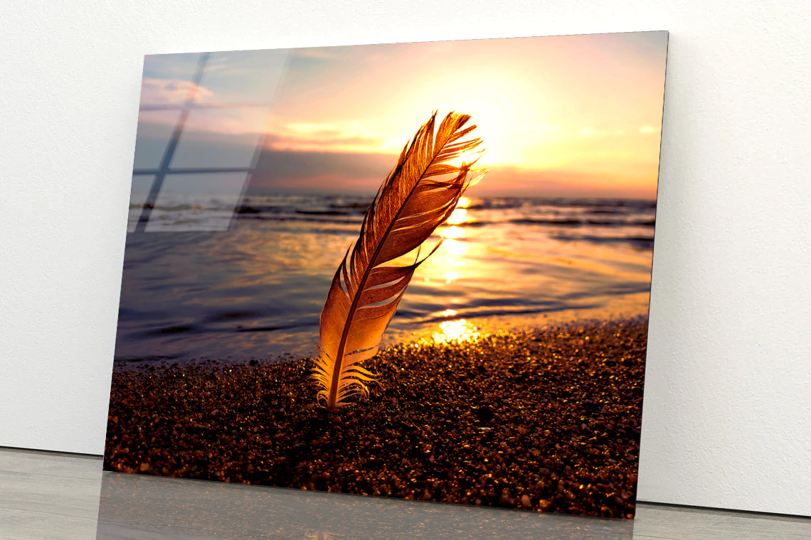 Feather With Sunset in Seashore Acrylic Glass Print Tempered Glass Wall Art 100% Made in Australia Ready to Hang - Bella Home Decor