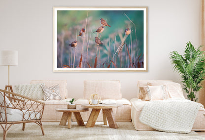 A Group of Birds Perched On a Branch View Home Decor Premium Quality Poster Print Choose Your Sizes - Bella Home Decor