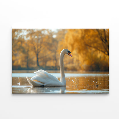 Swans on Autumn Pond View Print 100% Australian Made - Bella Home Decor