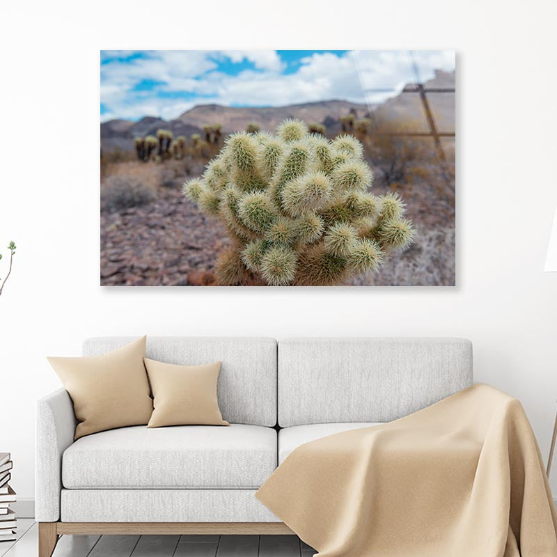 Death Valley in California Acrylic Glass Print Tempered Glass Wall Art 100% Made in Australia Ready to Hang