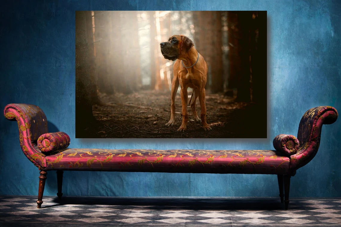 Great Dane Wall Art UV Direct Aluminum Print Australian Made Quality