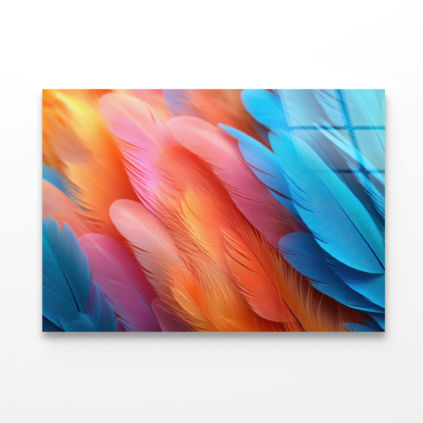 Feathers of a Bird Acrylic Glass Print Tempered Glass Wall Art 100% Made in Australia Ready to Hang - Bella Home Decor