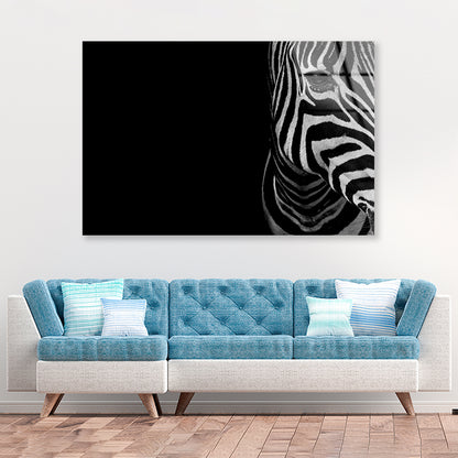 Half Face of Zebra with Black Acrylic Glass Print Tempered Glass Wall Art 100% Made in Australia Ready to Hang