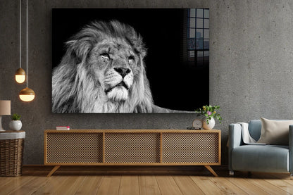 Lion Face B&W View UV Direct Aluminum Print Australian Made Quality