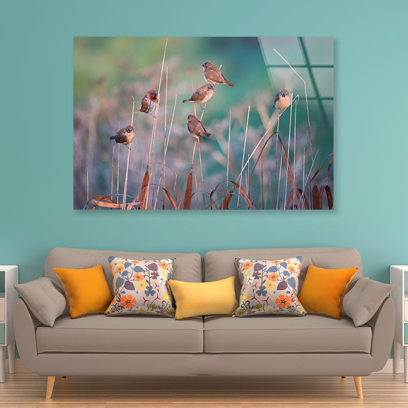 A Group of Birds Perched On a Branch View Acrylic Glass Print Tempered Glass Wall Art 100% Made in Australia Ready to Hang