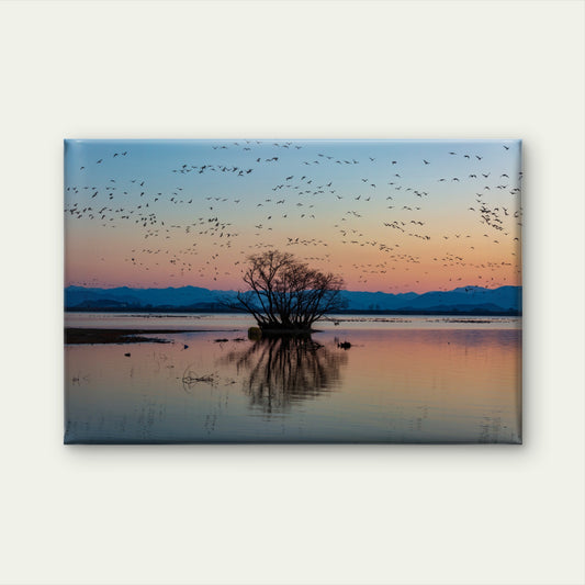 Migratory Birds Sunset Wall Art Decor 100% Australian Made