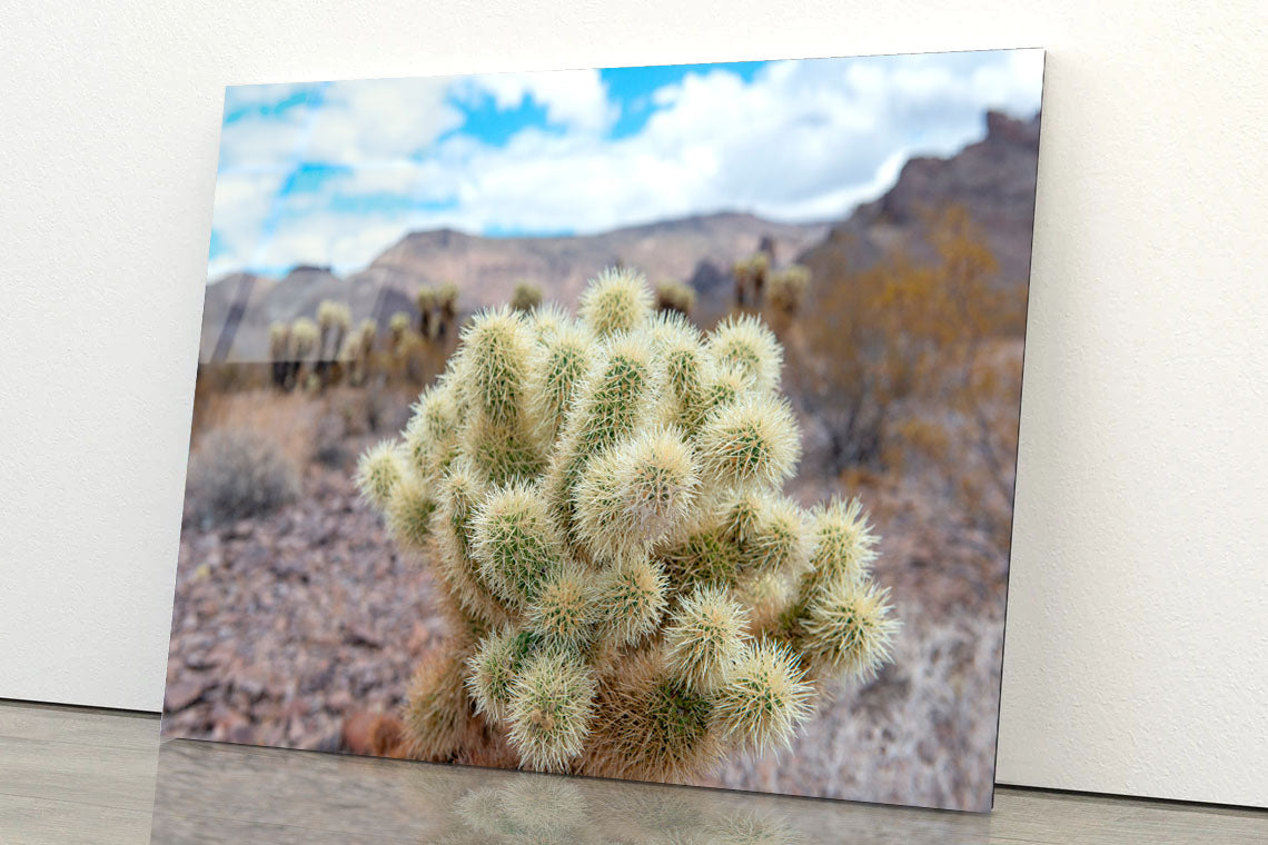 Death Valley in California Acrylic Glass Print Tempered Glass Wall Art 100% Made in Australia Ready to Hang