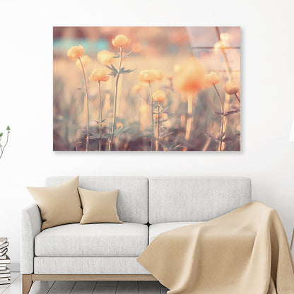 Spring or Summer Flowers Acrylic Glass Print Tempered Glass Wall Art 100% Made in Australia Ready to Hang