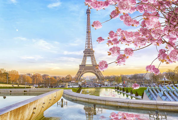 Eiffel Tower & Cherry Blossom Tree Photograph 90x60cm Print 100% Australian Made