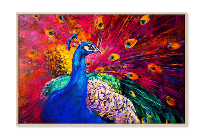 Multicolored Peacock Watercolor Painting Wall Art Limited Edition High Quality Print Canvas Box Framed Natural