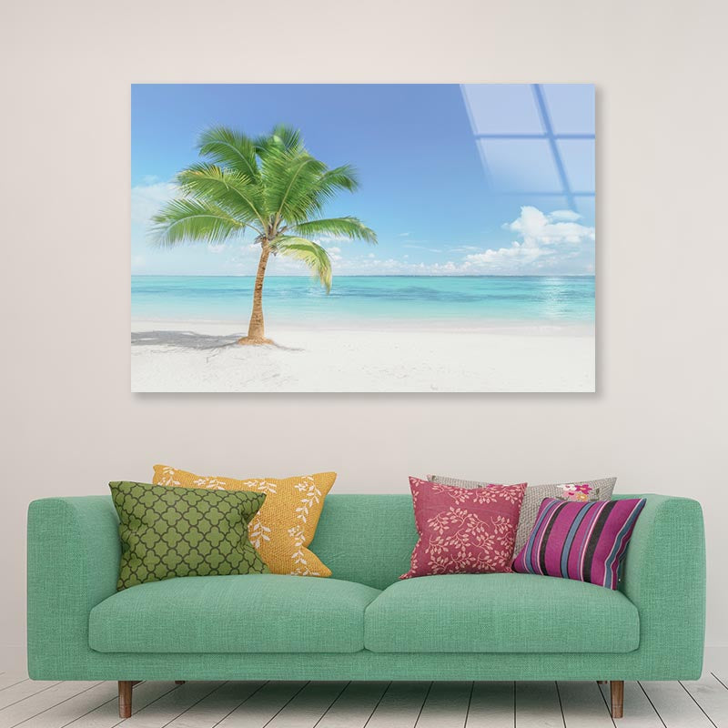 Single Coconut Tree Beach Acrylic Glass Print Tempered Glass Wall Art 100% Made in Australia Ready to Hang