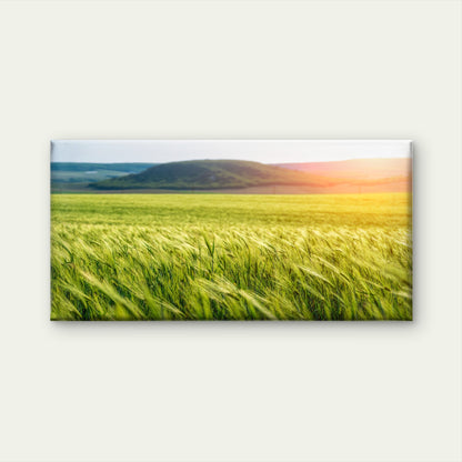 Green Wheat Field Countryside Blowing Wind Wall Art Canvas Office Home Room Framed 120x60cm