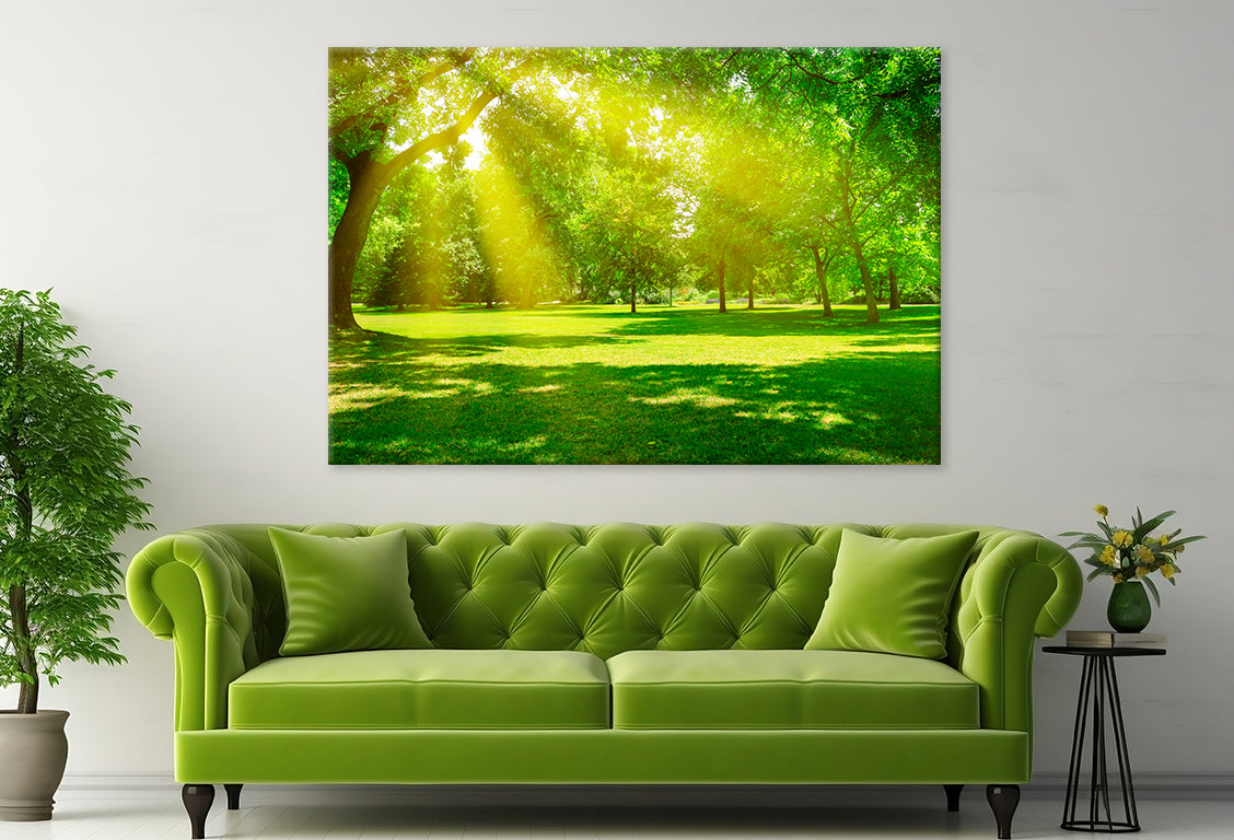 Sunrise Beam in Beautiful Park  Wall Art Decor 100% Australian Made - Bella Home Decor
