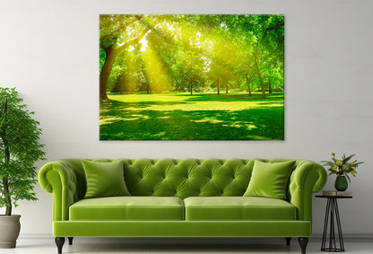 Sunrise Beam in Beautiful Park  Wall Art Decor 100% Australian Made - Bella Home Decor