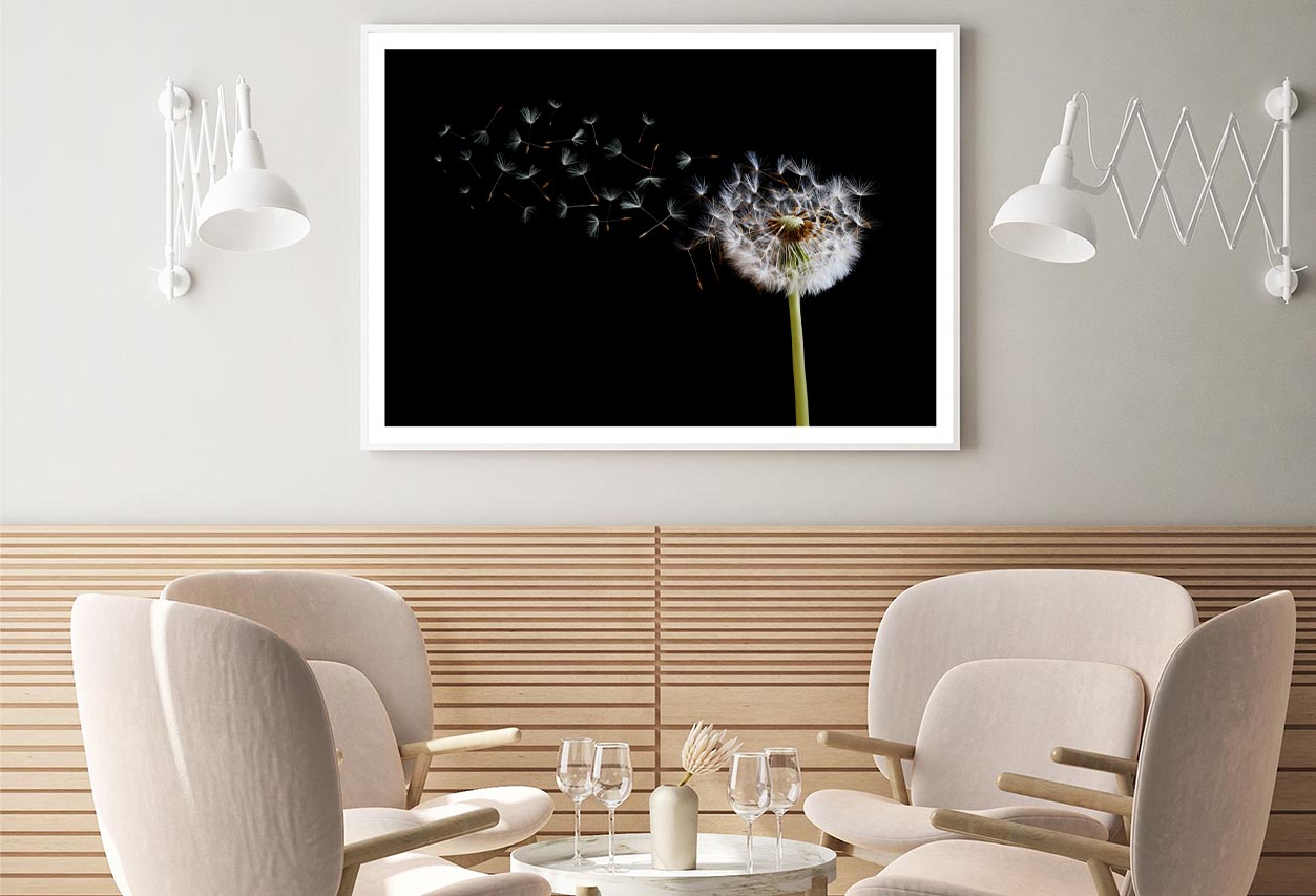 Dandelion Blowing in The Wind with A Black Home Decor Premium Quality Poster Print Choose Your Sizes