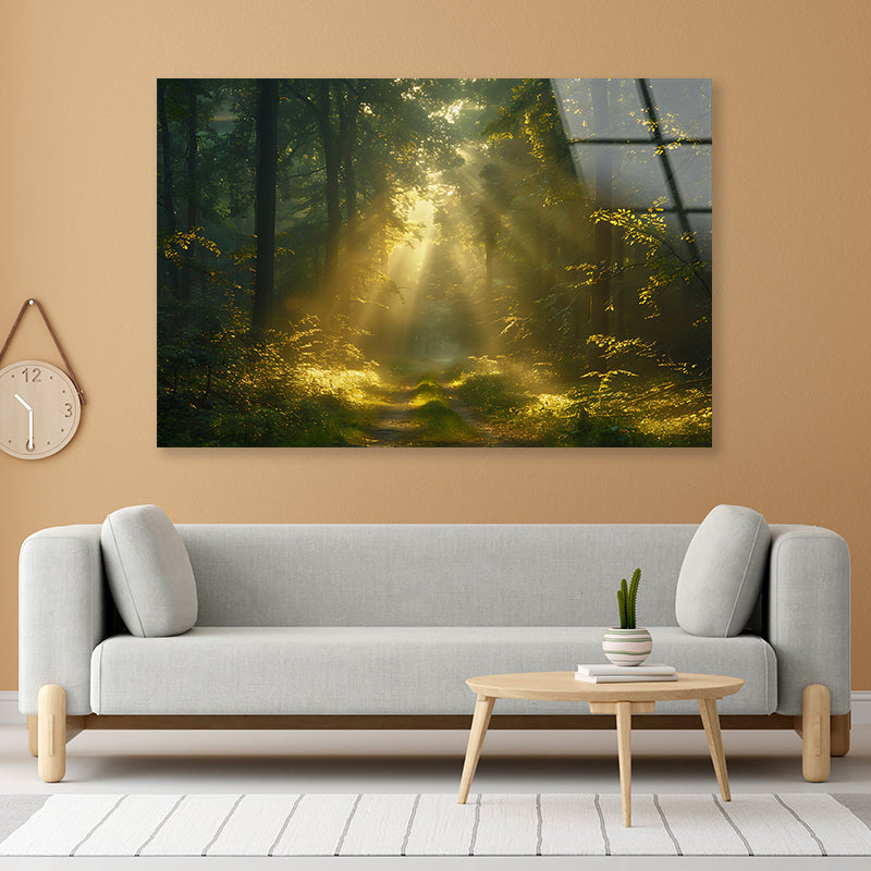 Sun Shining With Trees in a Forest Acrylic Glass Print Tempered Glass Wall Art 100% Made in Australia Ready to Hang - Bella Home Decor