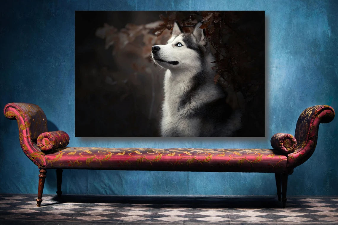 Siberian Husky Wall Art UV Direct Aluminum Print Australian Made Quality