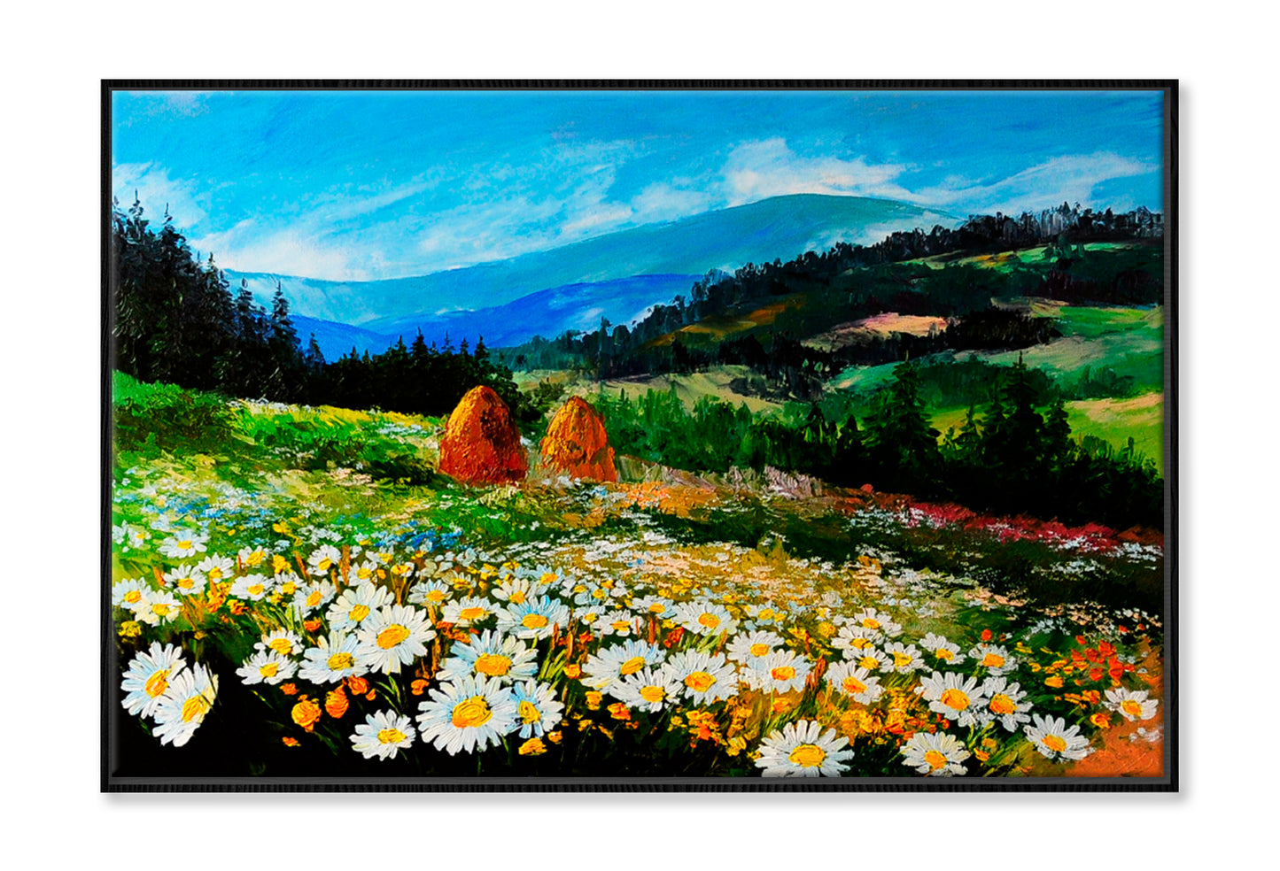 Meadow Of Daisies Art Work Oil Painting Limited Edition High Quality Print Canvas Box Framed Black