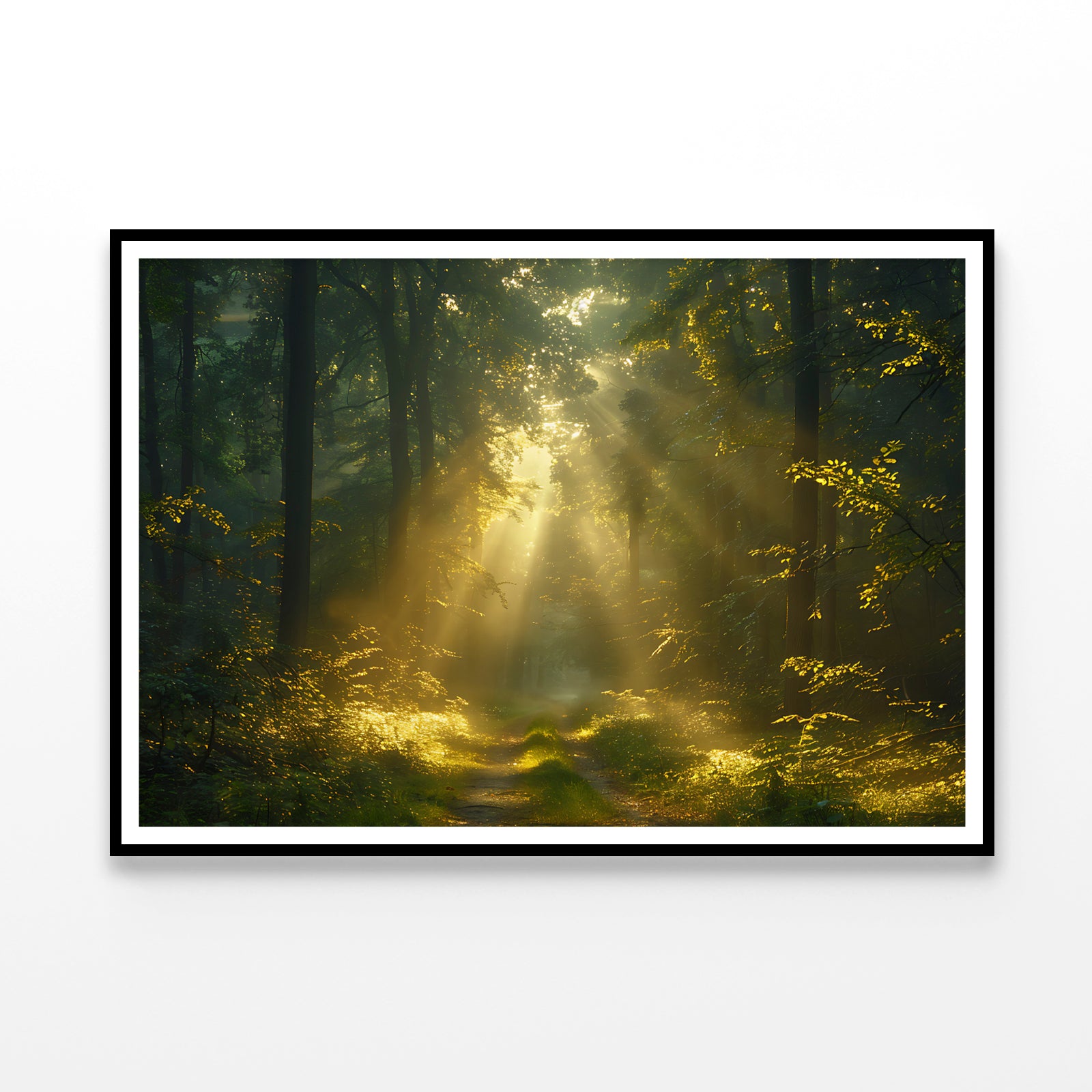 Sun Shining With Trees in a Forest Home Decor Premium Quality Poster Print Choose Your Sizes - Bella Home Decor