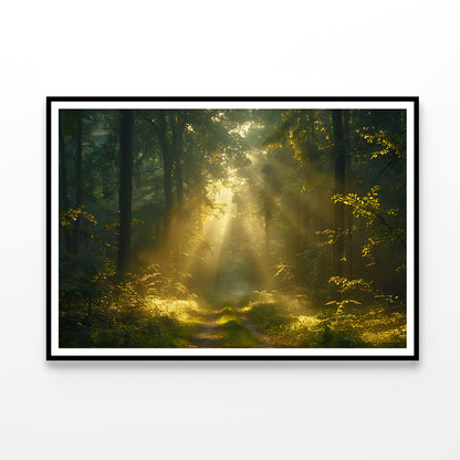 Sun Shining With Trees in a Forest Home Decor Premium Quality Poster Print Choose Your Sizes - Bella Home Decor