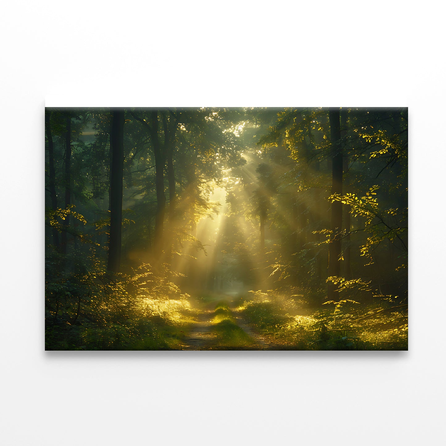Sun Shining With Trees in a Forest Print 100% Australian Made - Bella Home Decor