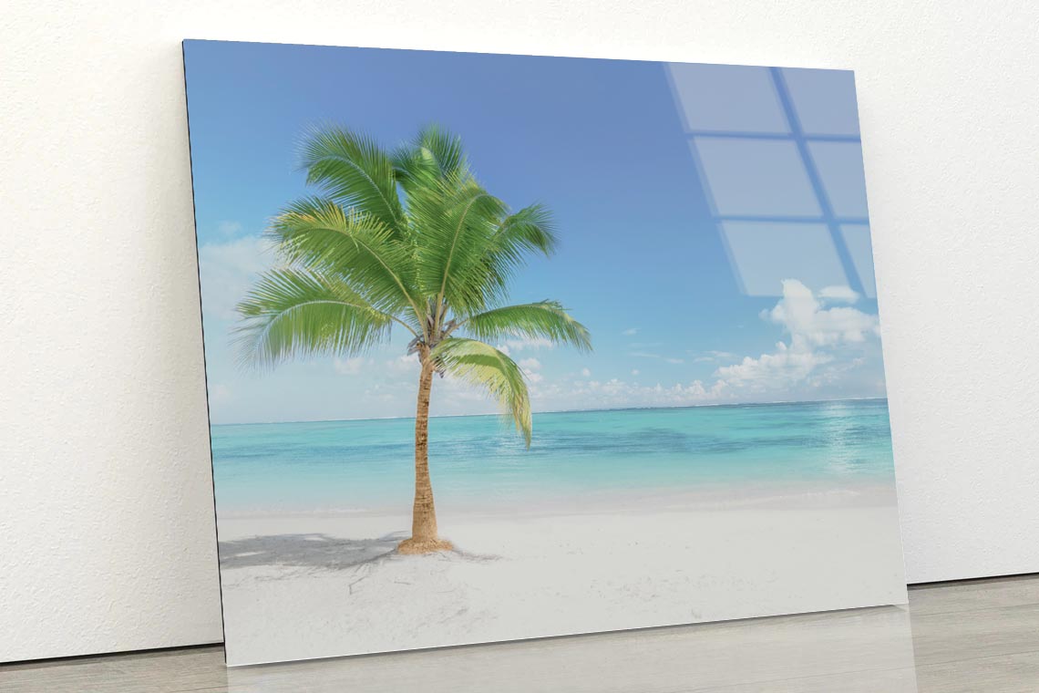 Single Coconut Tree Beach Acrylic Glass Print Tempered Glass Wall Art 100% Made in Australia Ready to Hang