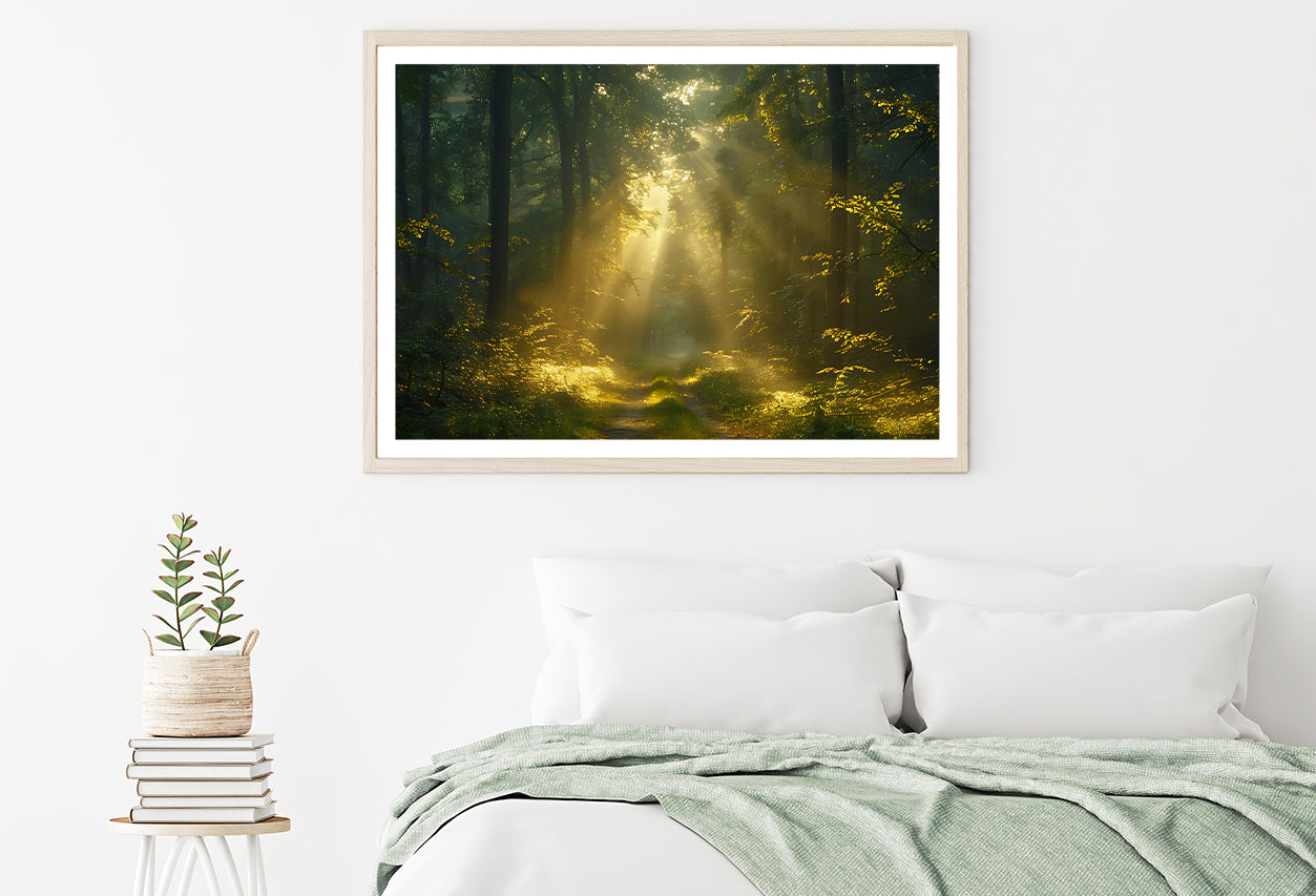 Sun Shining With Trees in a Forest Home Decor Premium Quality Poster Print Choose Your Sizes - Bella Home Decor