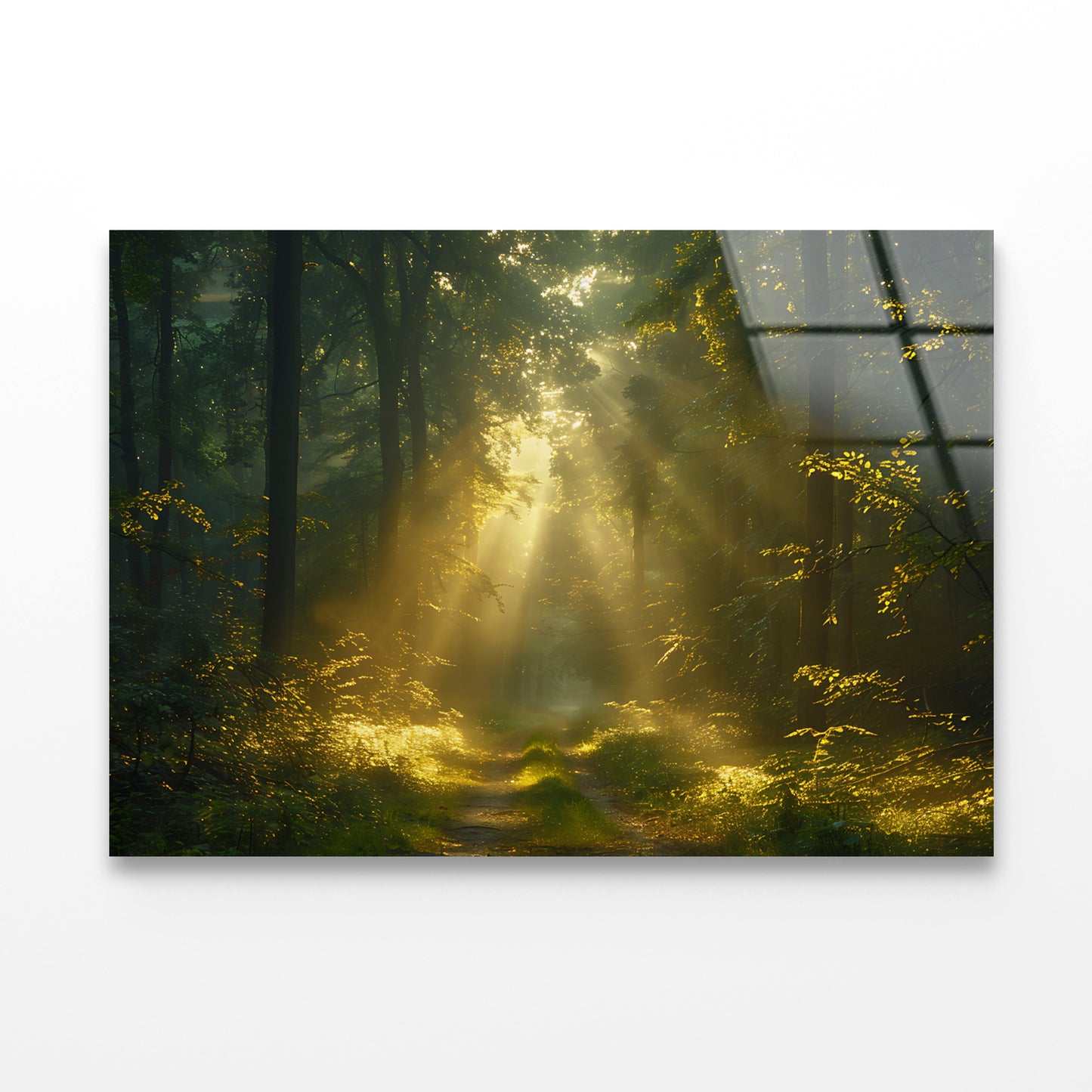 Sun Shining With Trees in a Forest Acrylic Glass Print Tempered Glass Wall Art 100% Made in Australia Ready to Hang - Bella Home Decor