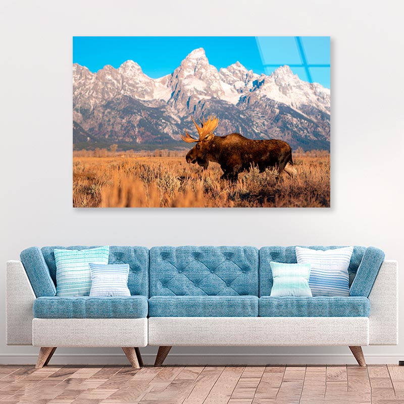 Bull Moose in Mountain Sky  Acrylic Glass Print Tempered Glass Wall Art 100% Made in Australia Ready to Hang