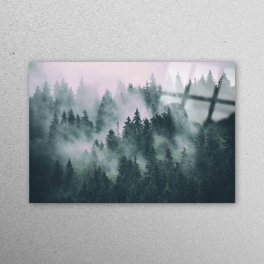 Misty Forest Wall Art Acrylic Glass Print Tempered Glass Wall Art 100% Made in Australia Ready to Hang