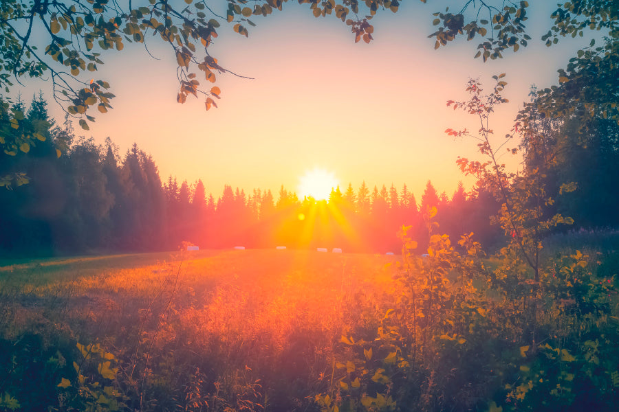 Summer Night Sunset View from Sotkamo, Finland Acrylic Glass Print Tempered Glass Wall Art 100% Made in Australia Ready to Hang - Bella Home Decor