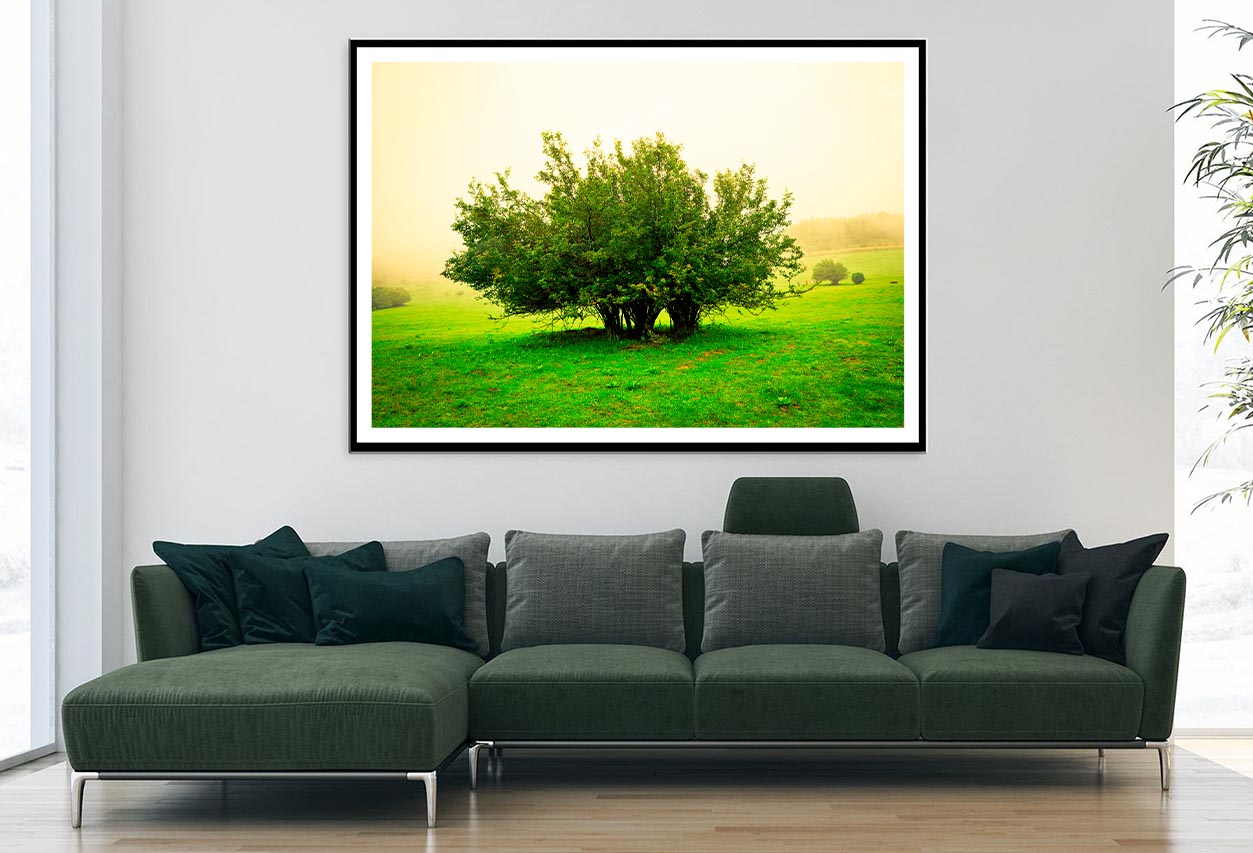 Grassland Scene Home Decor Premium Quality Poster Print Choose Your Sizes