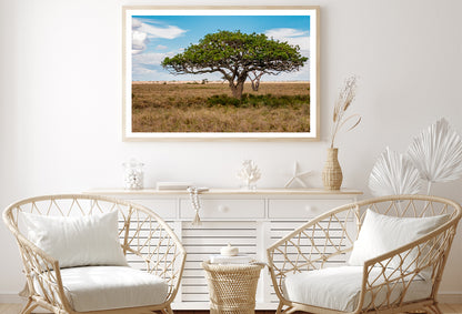 Close-up of a Tree in Tanzania Home Decor Premium Quality Poster Print Choose Your Sizes