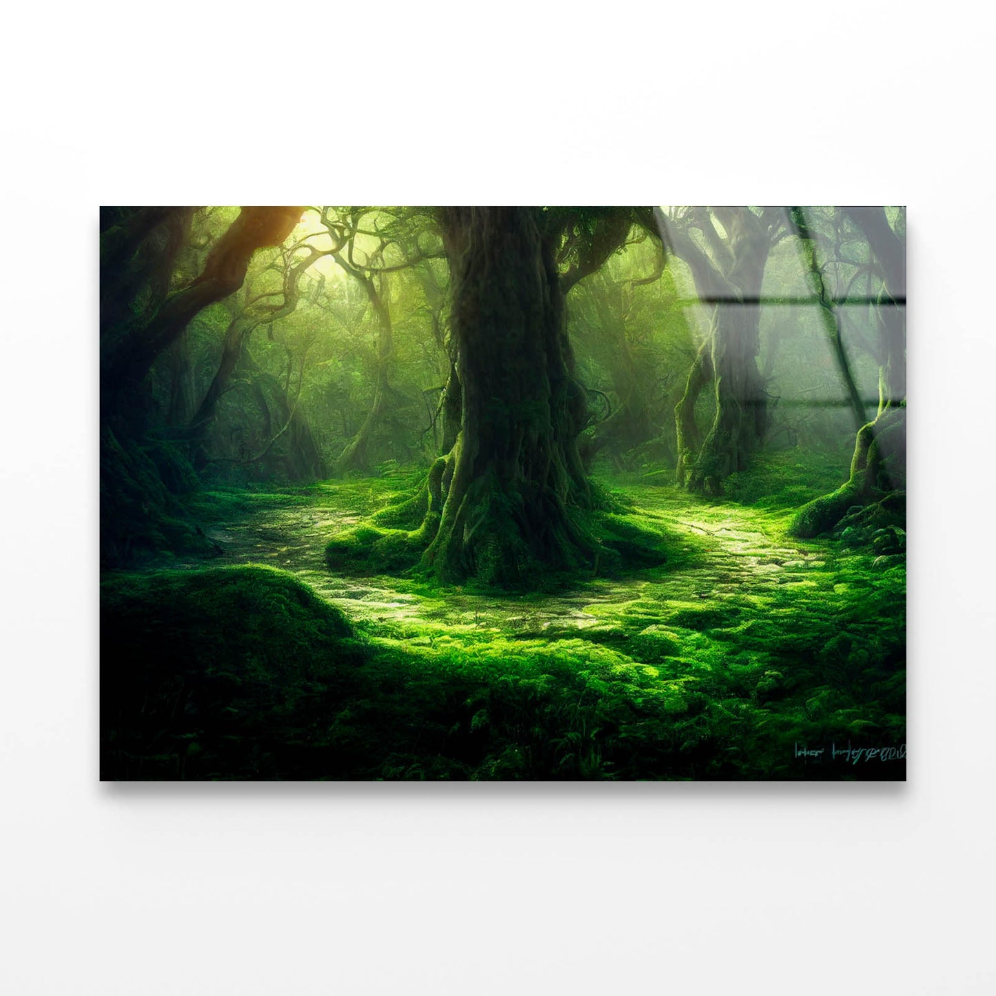 Natural Green Environment Tree Acrylic Glass Print Tempered Glass Wall Art 100% Made in Australia Ready to Hang