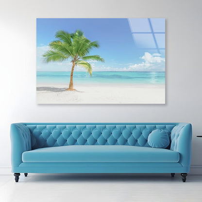 Single Coconut Tree Beach Acrylic Glass Print Tempered Glass Wall Art 100% Made in Australia Ready to Hang