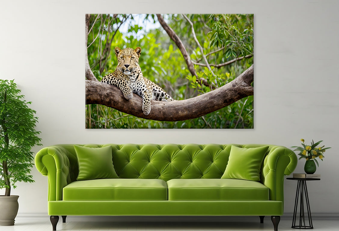 Sri Lankan Leopard in Yala Park Wall Art Decor 100% Australian Made - Bella Home Decor