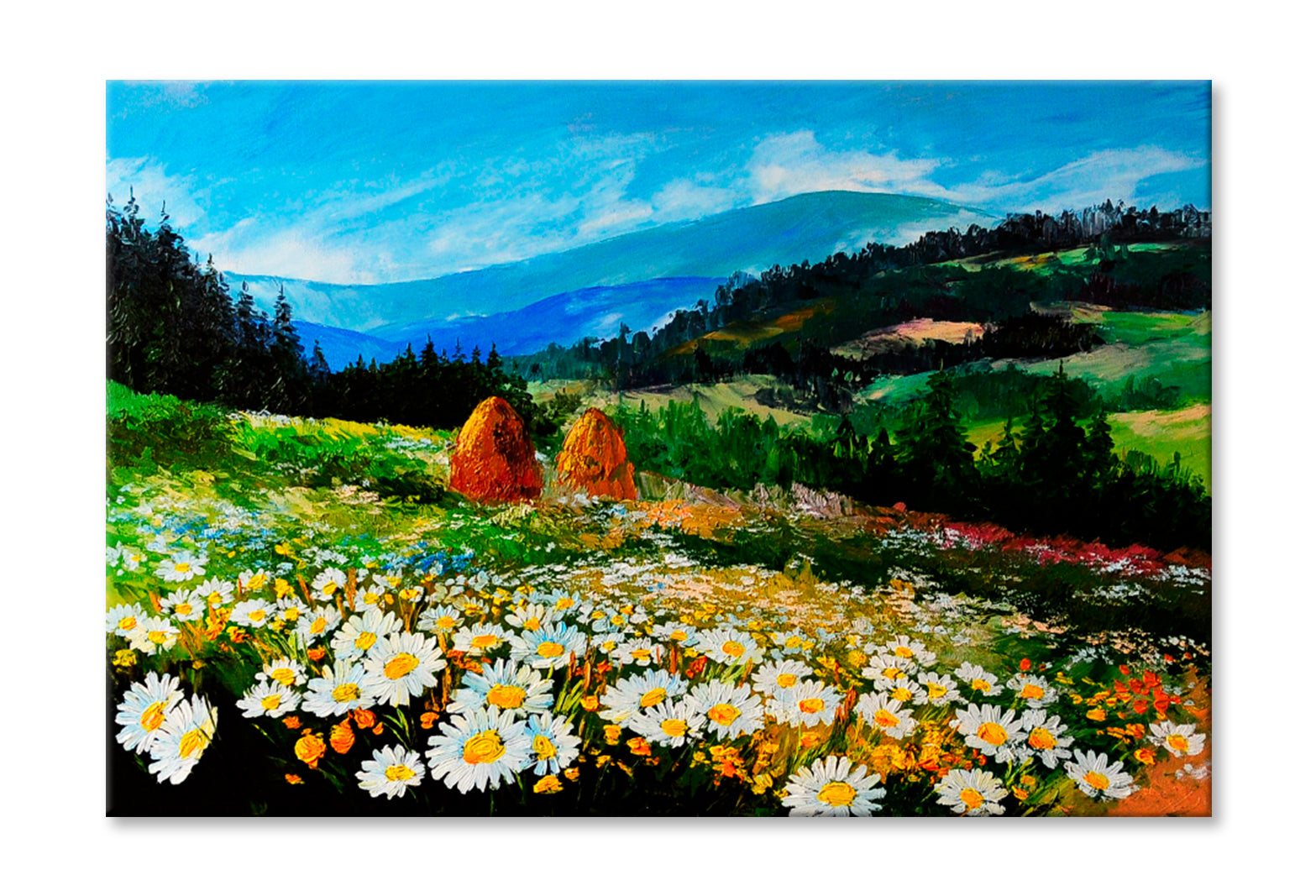 Meadow Of Daisies Art Work Oil Painting Limited Edition High Quality Print Stretched Canvas None